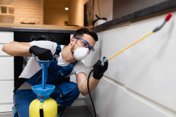 Reliable Waterford, CA Pest Control Solutions