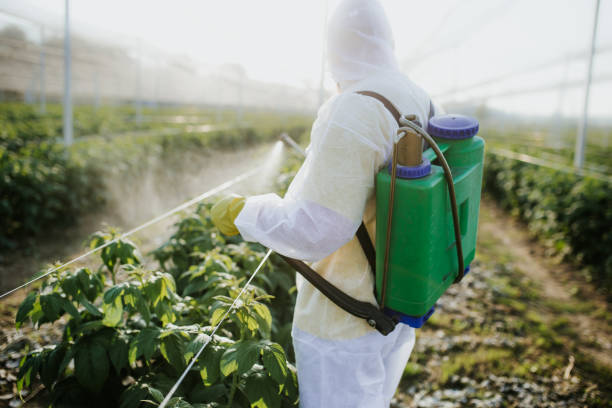 Pest Control Cost in Waterford, CA